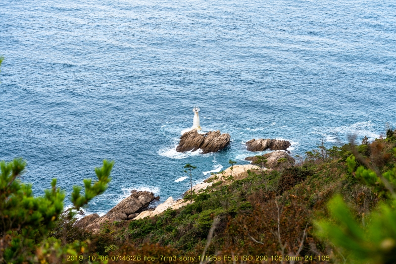 seo20191020-18