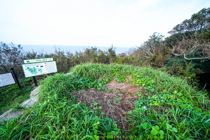 seo20191020-34