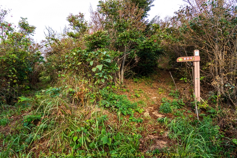 seo20191020-39