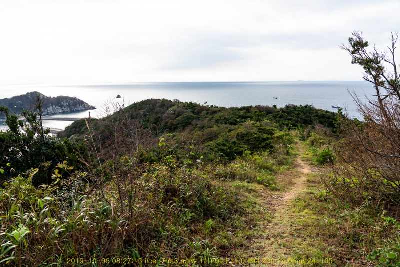 seo20191020-43