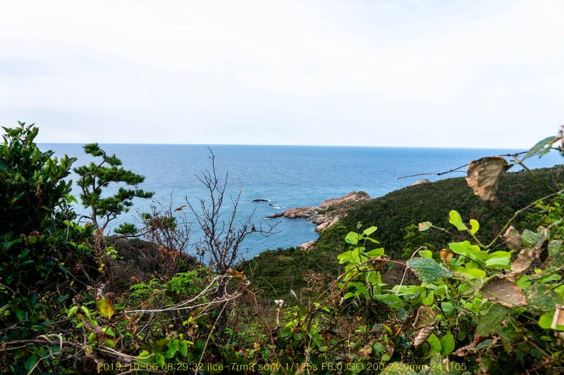 seo20191020-44