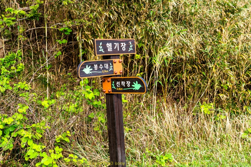 seo20191020-52