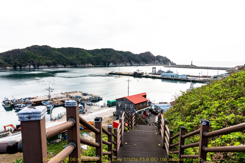 seo20191020-61