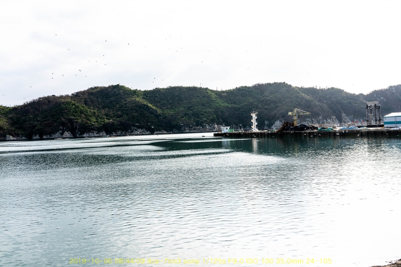 seo20191020-64