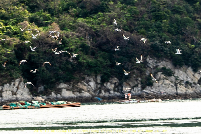 seo20191020-65