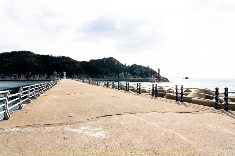 seo20191020-71