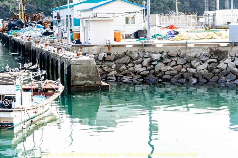 seo20191020-82