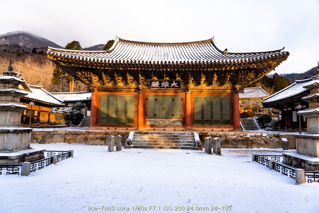 seon20200223-116