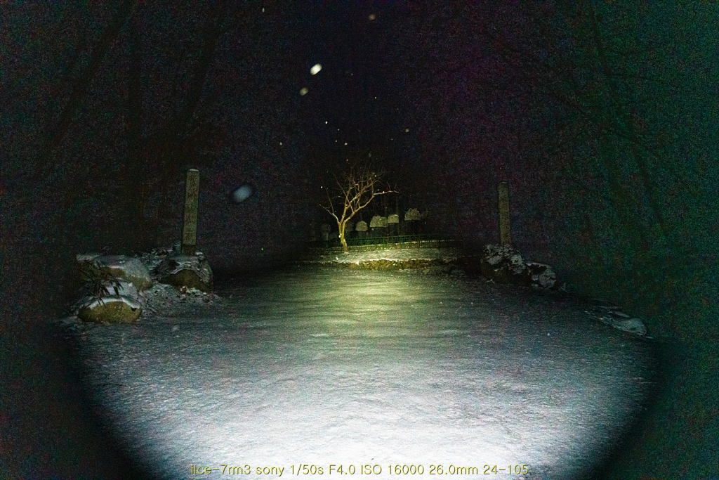 seon20200223-31
