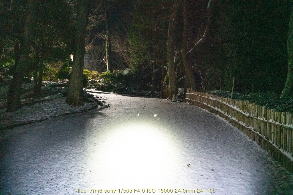seon20200223-51