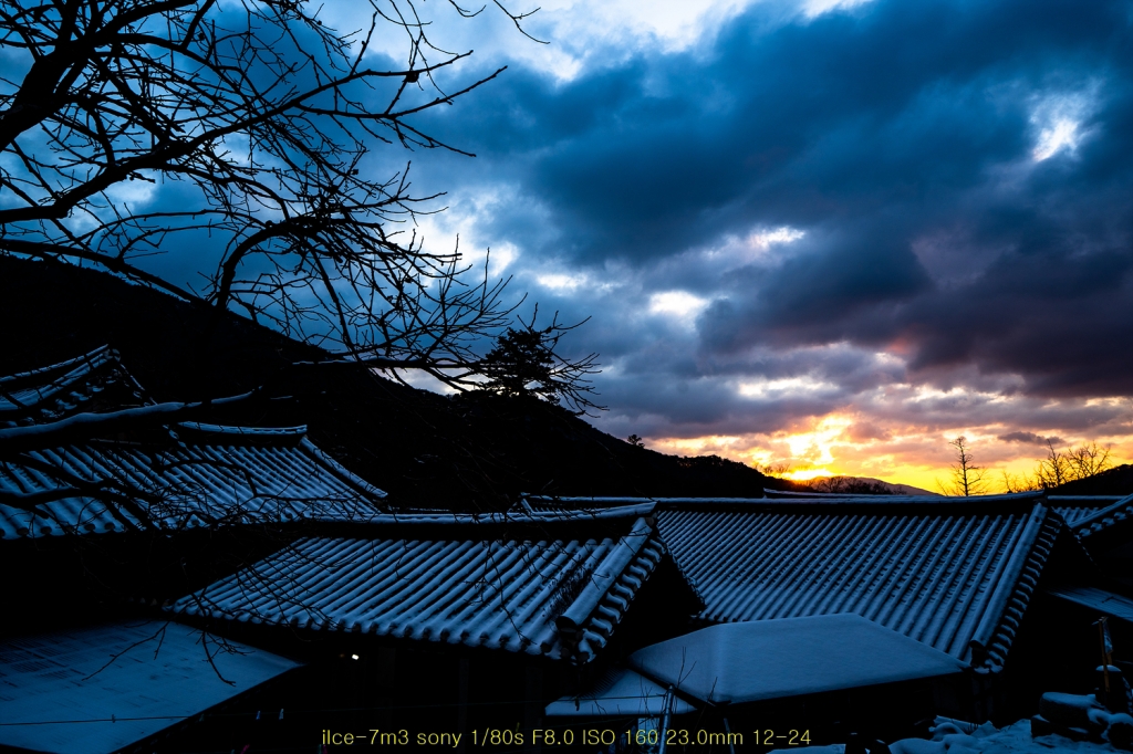 seon20200225-021