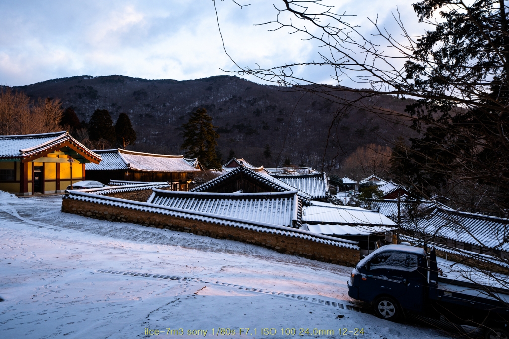 seon20200225-031