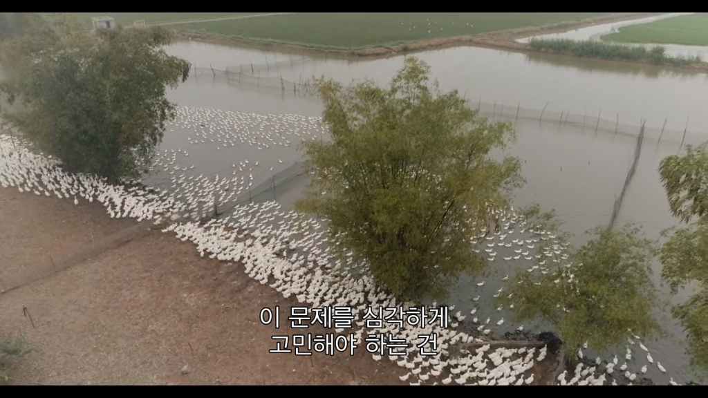 seon20200229-15