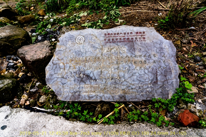 sib-20190612-02