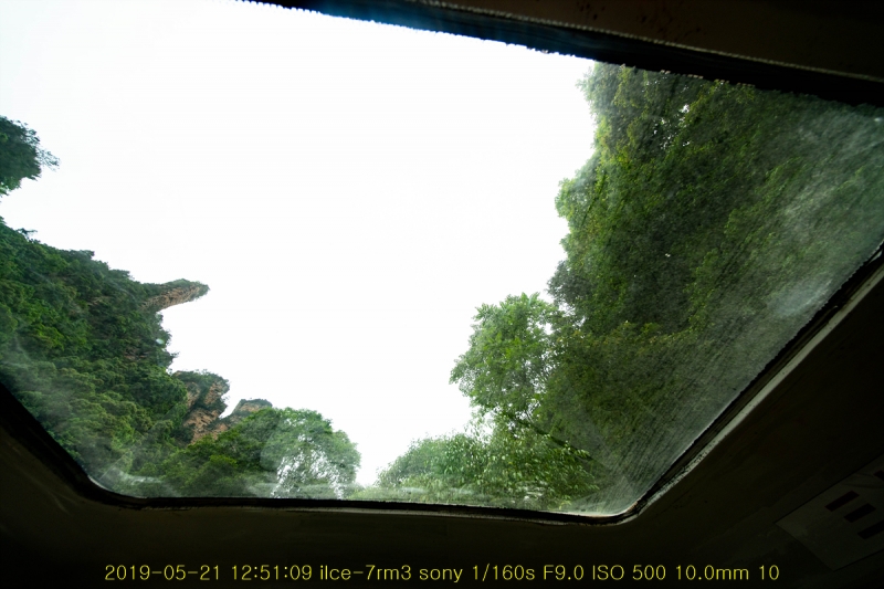 sib-20190612-16