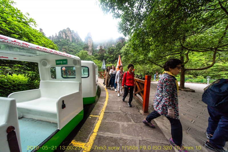 sib-20190612-20