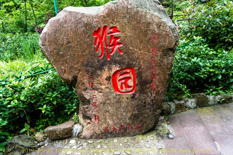 sib-20190612-31