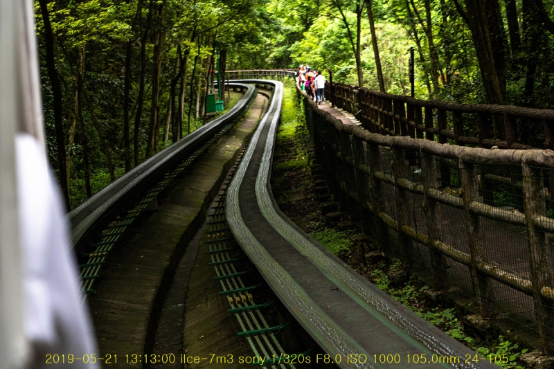 sib-20190612-51