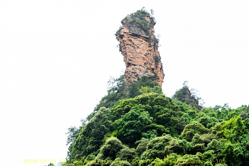 sib-20190612-67
