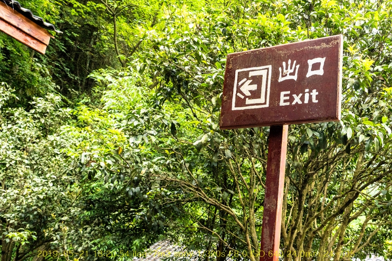 sib-20190612-69