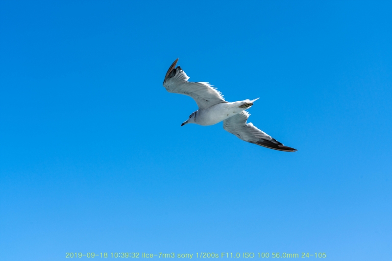 won20190921-02
