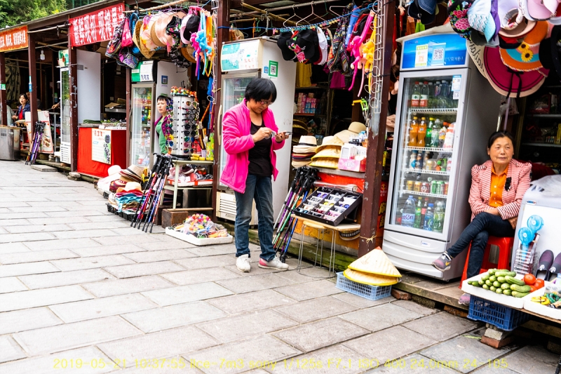 yang-20190608-02