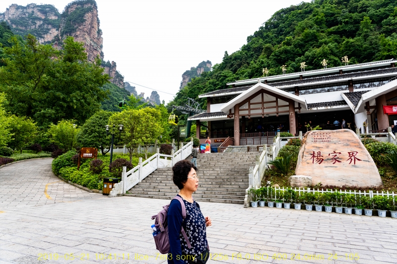 yang-20190608-11