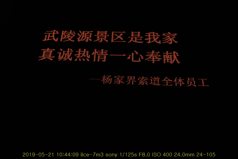 yang-20190608-17