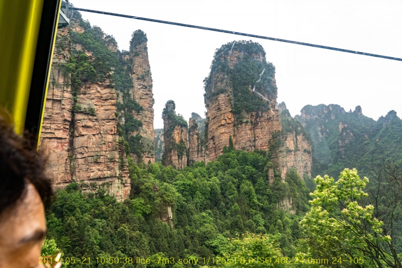 yang-20190608-25