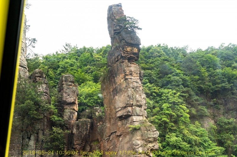 yang-20190608-41