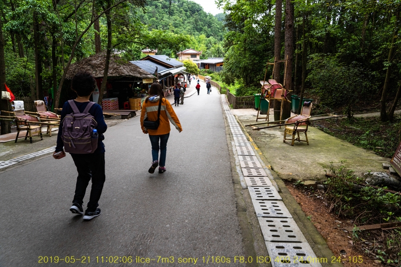 yang-20190608-49