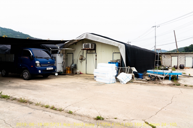 yang-20190619-27