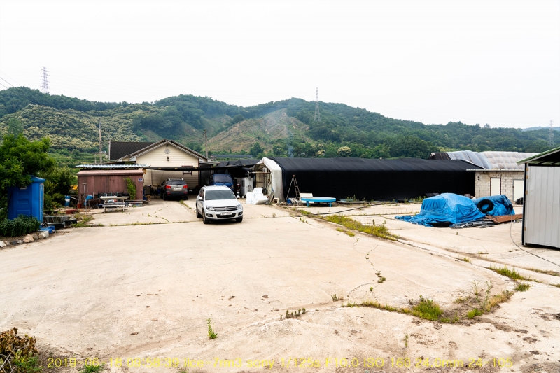 yang-20190619-29
