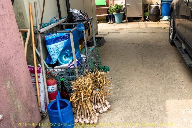 yang-20190619-33
