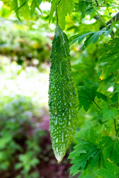 yeo-20190819-01