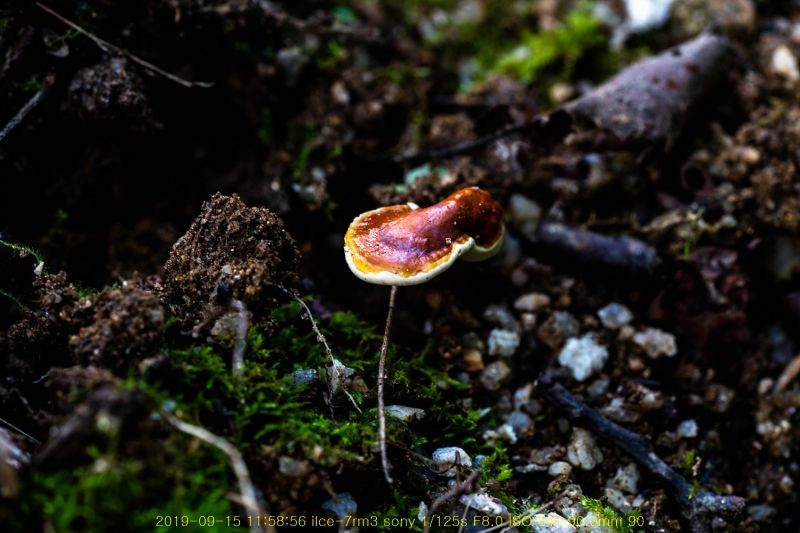 yeong20190915-09