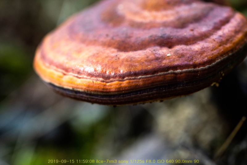 yeong20190915-11