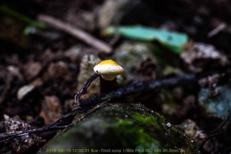 yeong20190915-17