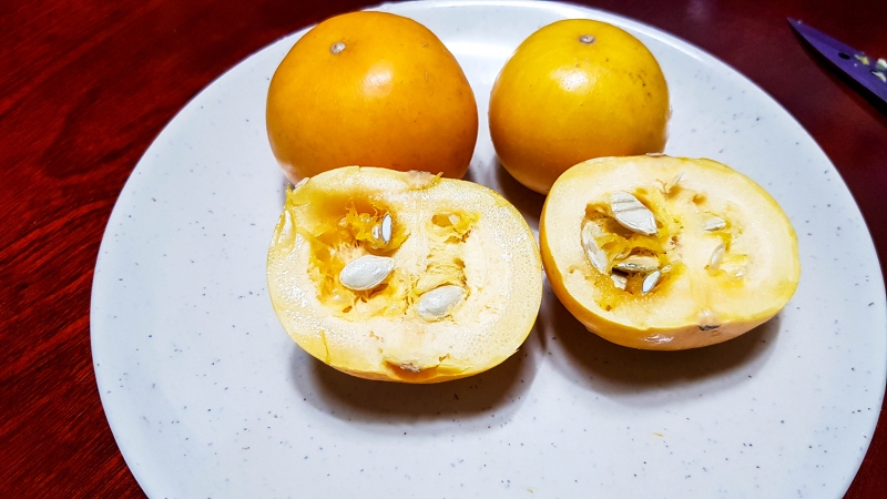 yeong20190918-03