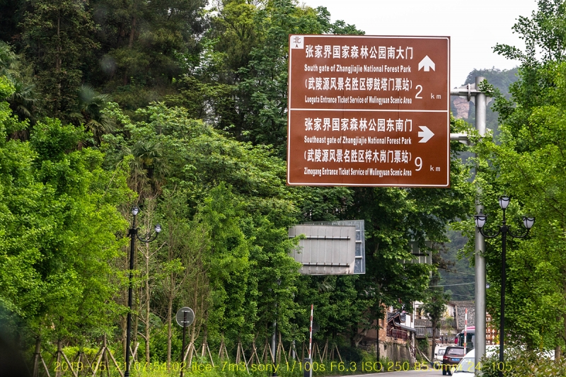 zhang-20190602-07