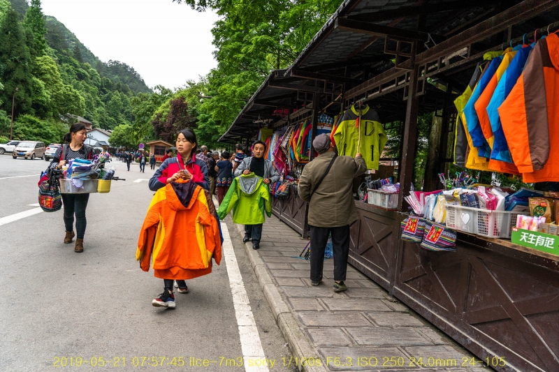 zhang-20190602-10
