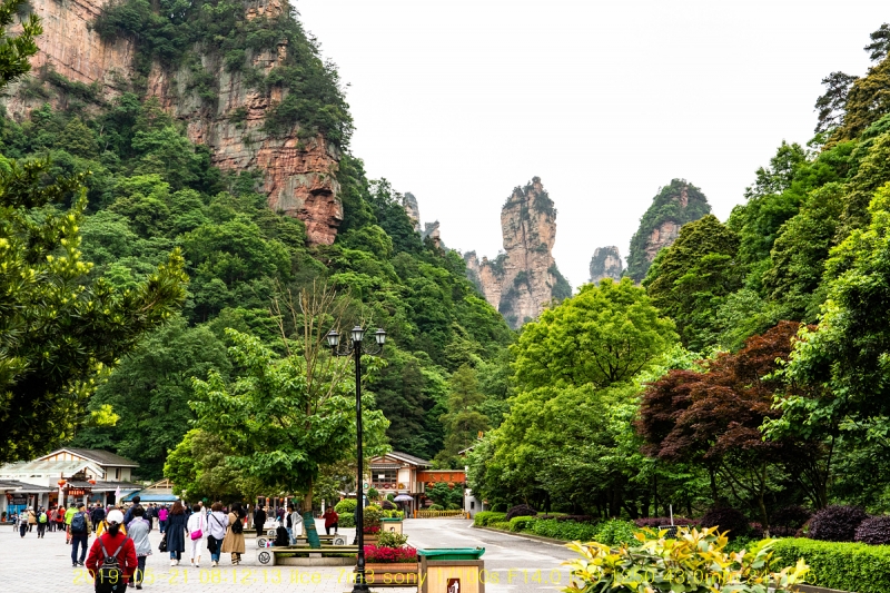 zhang-20190602-31