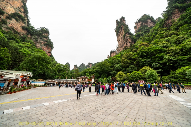 zhang-20190602-41