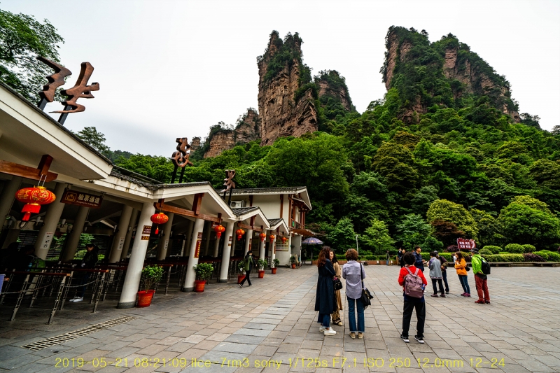 zhang-20190602-49