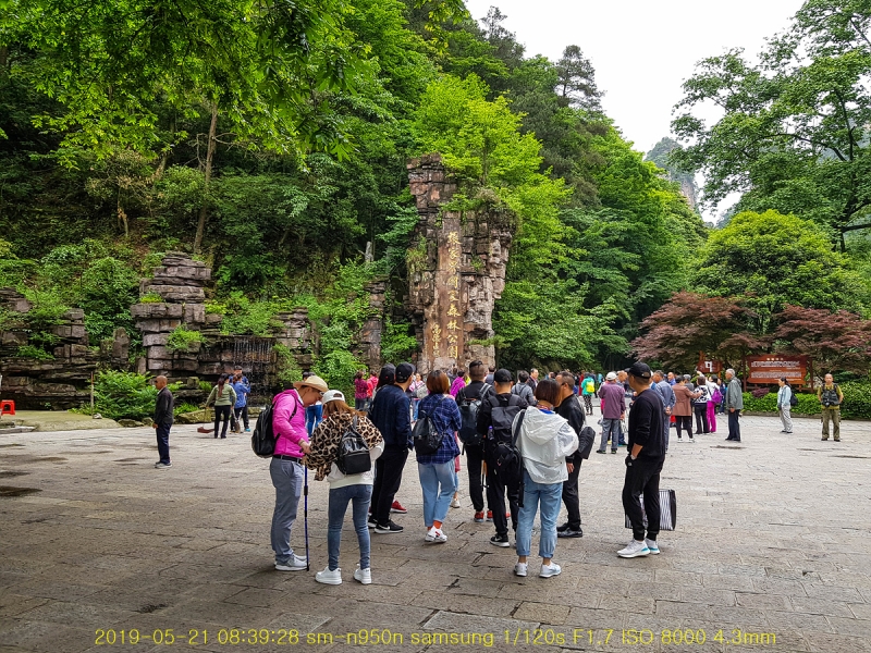 zhang-20190602-56
