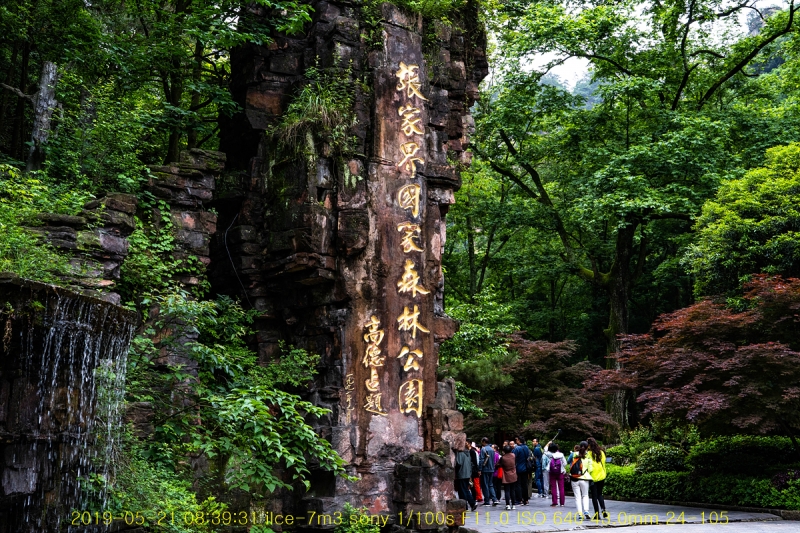 zhang-20190602-57