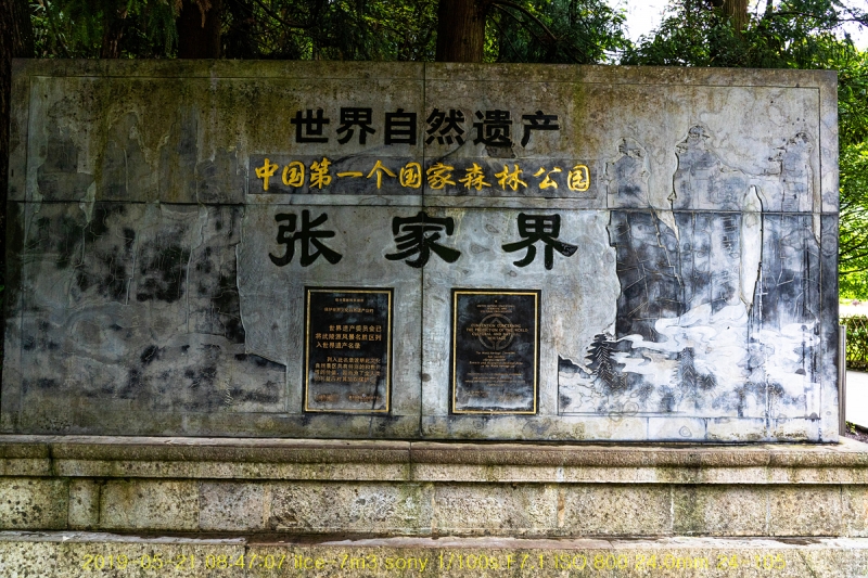 zhang-20190602-70