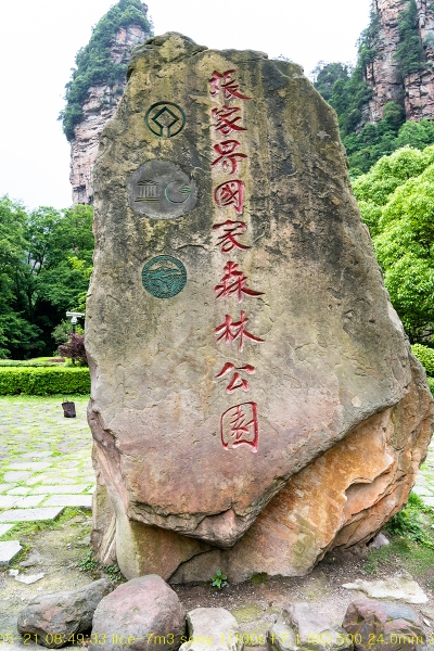 zhang-20190602-75
