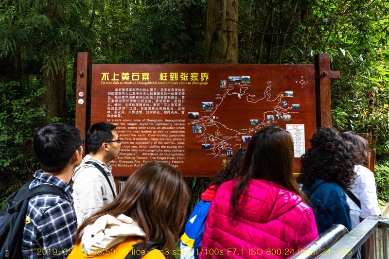 zhang-20190602-81