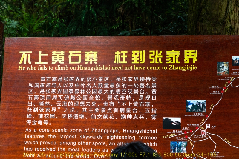 zhang-20190602-83